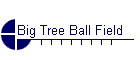 Big Tree Ball Field