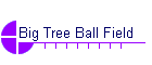 Big Tree Ball Field